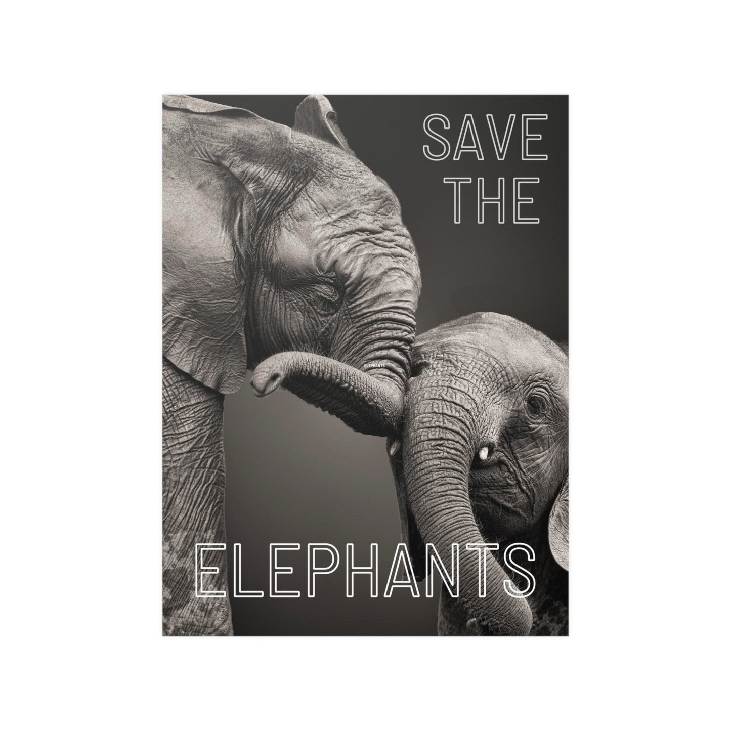 Elephant and Baby Elephant Poster, Endangered Animal Poster,