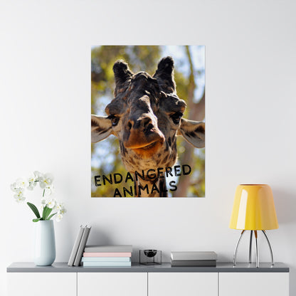 Giraffe Wall Art, Endangered Animal Poster, Photography by A. B. Petrow, Not AI! Save the Giraffes