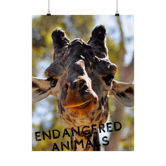 Giraffe Wall Art, Endangered Animal Poster, Photography by A. B. Petrow, Not AI! Save the Giraffes