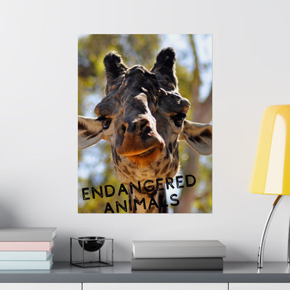 Giraffe Wall Art, Endangered Animal Poster, Photography by A. B. Petrow, Not AI! Save the Giraffes