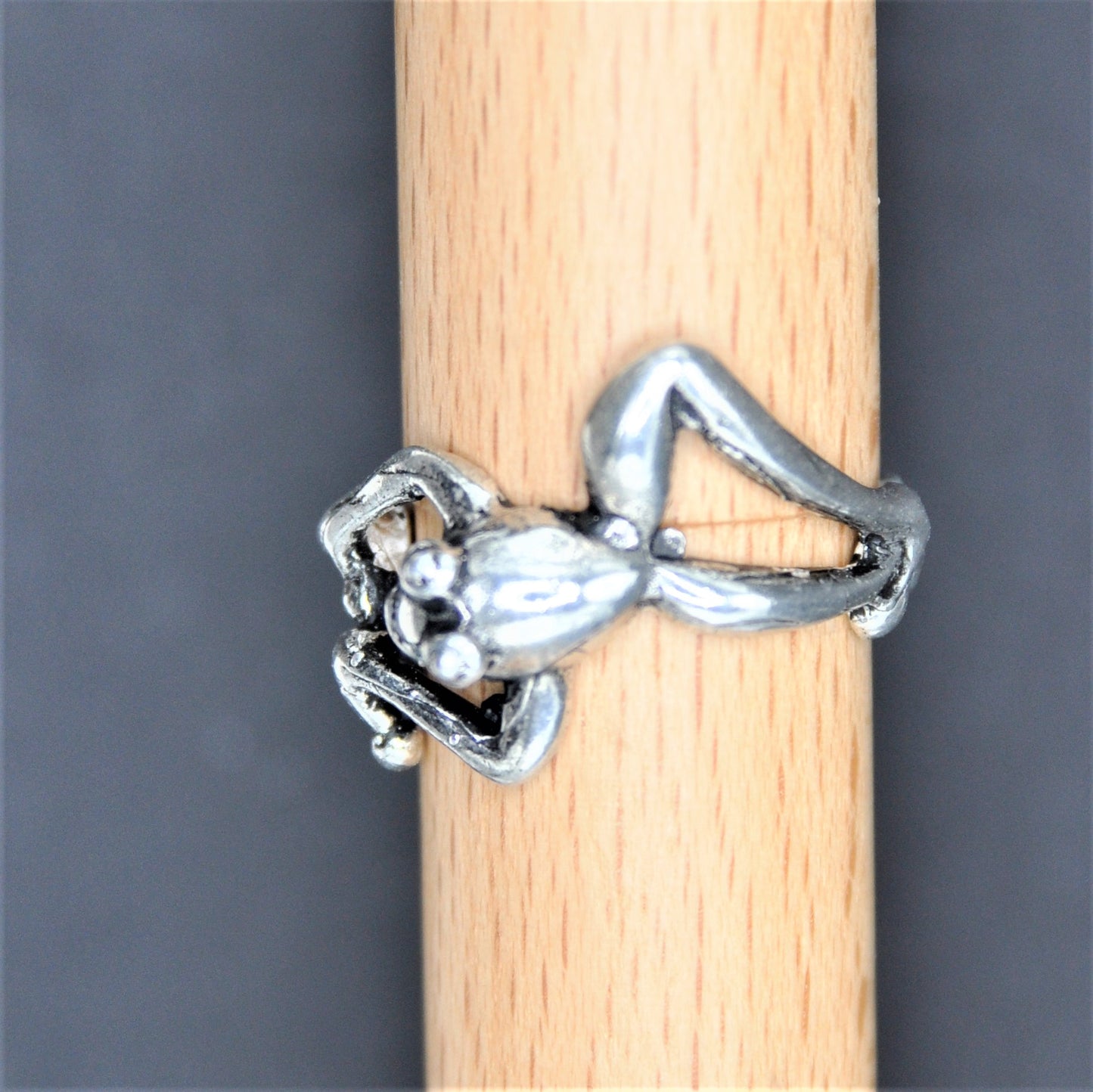 Tree Frog Ring Sterling Silver Endangered Species Handcrafted Sterling Earwires